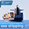 Professional China Freight Forwarder Sea Shipping To USA/UK  AMAZON WAREHOUSE